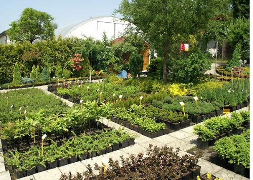 Punkt sprzedaży detalicznej i hurtowej